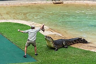 Australia Zoo in Beerwah, Queensland, Australia. Editorial credit: Photos by Febin / Shutterstock.com