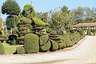 Pearl Fryar Topiary Garden, Bishopville, SC By Judson McCranie, CC BY-SA 3.0, Wikimedia Commons