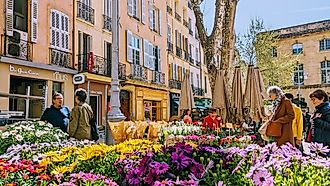  Shoppers browsing vibrant flower market stalls in Aix-en-Provence (Editorial credit: Volker Vornehm / Shutterstock.com) 