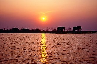 Sillhouttes of elephants along the shores of Lake Kariba.