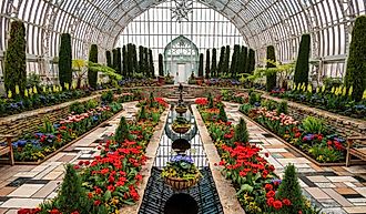 Como Park Zoo Marjorie McNeely Conservatory Spring Tulip Show. Editorial credit: TammiMild / Shutterstock.com