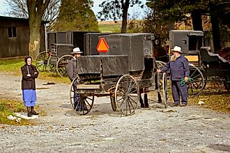 Amish buggies in Millersburg, Ohio. Dennis MacDonald / Shutterstock.com.