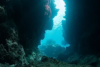 sunlight underwater