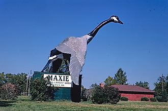 Maxie-world's largest goose, Sumner, Missouri. Image credit: John Margolies by Rawpixel.
