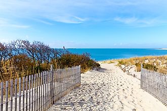 A pathway leading to the beach at Cape Henlopen State Park.