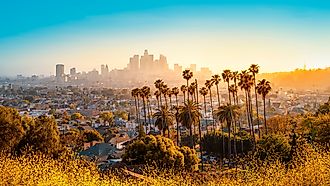 The skyline of Los aAngeles during sunset. 