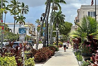 Downtown street in Naples, Florida. Image credit Paulm1993 via Shutterstock