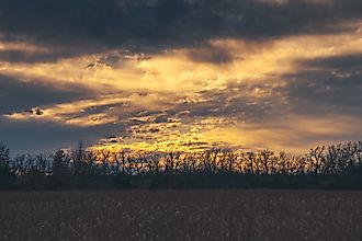Great Plains Nature Center near Bel Aire, Kansas.