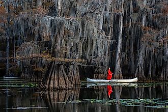 Woman in bright red dress standing in a canoe paddling under Bald Cypress Trees and Spanish Moss on Caddo Lake in Texas