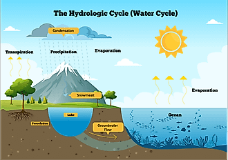 The water cycle.