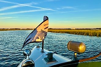 Serene River Cruises Amelia Island can get you places other boats cant go. Image credit: Bryan Dearsley