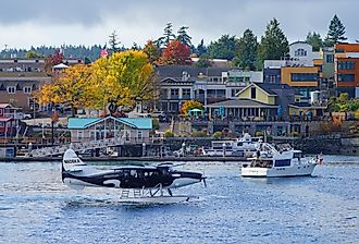 Kenmore Air floatplane painted as an orca in the port of Friday Harbor, Washington
