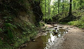 Clark Creek Natural Area, Tunica Hills, Mississippi