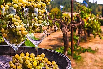 Chateau Ste. Michelle, Washington's oldest winery. Editorial credit: Olya Helms / Shutterstock.com