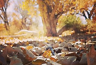 Fall view in Dayton, Nevada. Editorial credit: Brenda Daly / Shutterstock.com