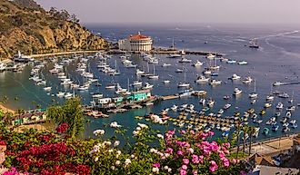 Aerial view of Avalon, California.