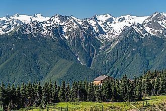 The Hurricane Ridge viewpoint in Olympic National Park.