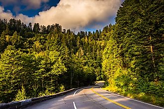 Newfound Gap Road in the Great Smoky Mountains National Park, Tennessee.