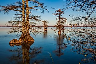 Landscapes of Reelfoot Lake Tennessee