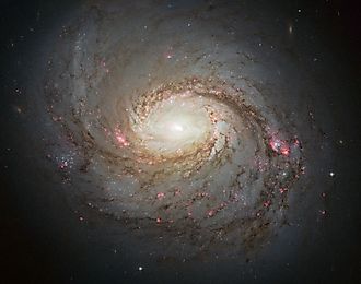 Galaxy