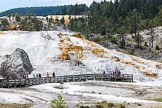Tourists visiting Palette Spring Terrace at Mammoth Hot Springs in Yellowstone National Park.