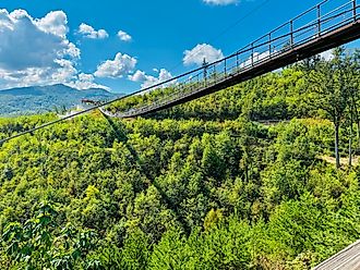 Beautiful Sky Bridge in Gatlinburg, Tennessee with Mountains and Nature. Credit: g.hanna6/Shutterstock.com