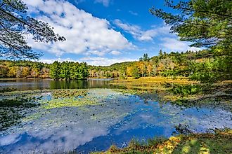 The beautiful Bass Lake in North Carolina.