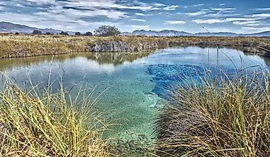 What Is Unique About Cuatro Ciénegas?