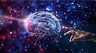 10 Interesting Facts About The Nervous System