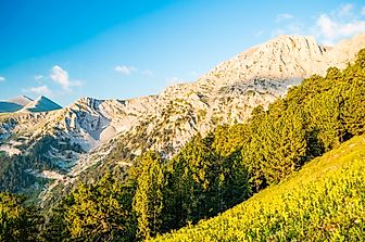 The National Parks of Greece