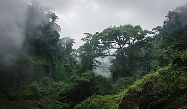 What Type Of Climate Does Cameroon Have?