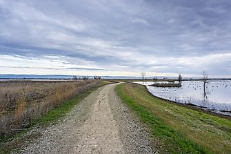 What Is a Levee?