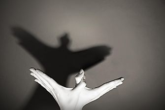 What Exactly Are Shadows?