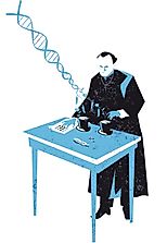 Main Principles Of Mendelian Genetics