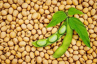 Largest Soybean-Producing Countries