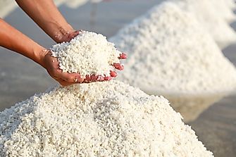 All about the Salt Industry