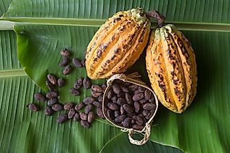 What Are The Major Natural Resources Of Grenada?