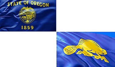 What Is the Only Two-Sided State Flag?