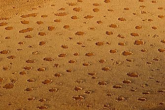 What Are Fairy Circles, And Why Do They Occur?