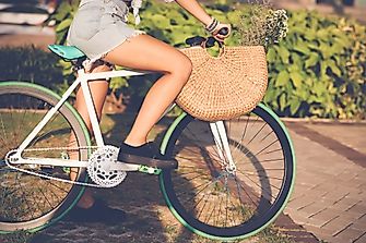 All about the Bicycle Industry