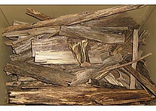 Illegal Agarwood Seizures By Source And Destination Countries