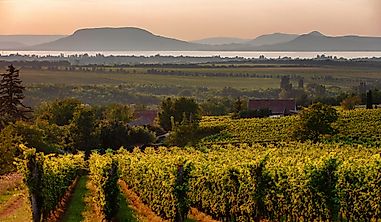 What Are The Biggest Industries In Hungary?
