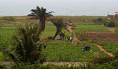 What Are The Biggest Industries In Togo?
