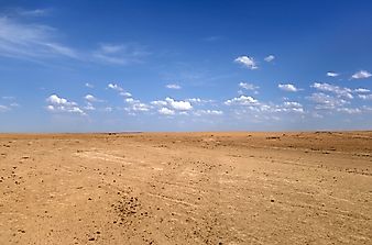 What Is Overgrazing?