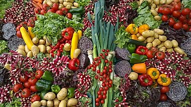 10 Fruits And Vegetables You Can Regrow