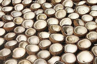 What Is Copra Used For, And How Is It Made?