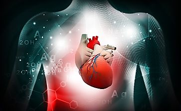 Heart Disease Rates by Country