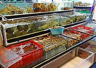 Top Fish And Seafood Exporting Countries