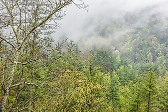What Are The Major Natural Resources Of Georgia?
