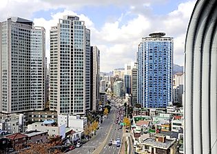What Are The Biggest Industries In South Korea?